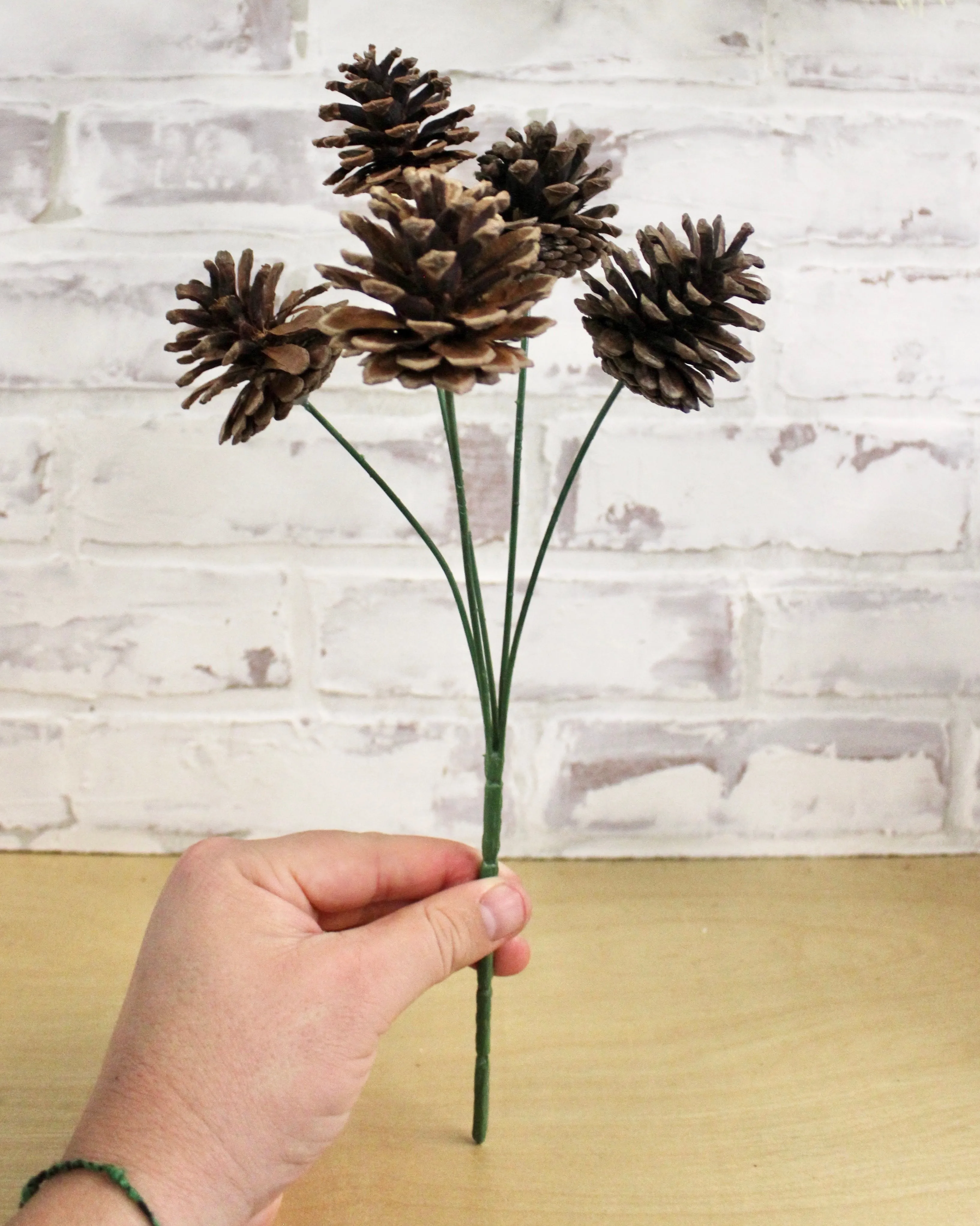 Pine Cone Cluster